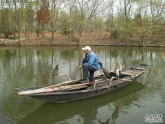 -溱湖国家湿地公园