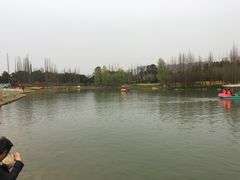 -秀丽东方