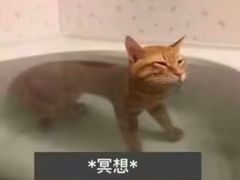 -伯乐居茶艺馆(石岐大信店)