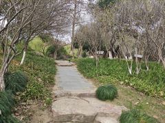 -日出青木·杭帮菜名店