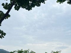 -白石龙音乐公园