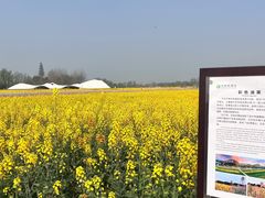 -中国天府农业博览园