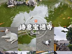 -宝通禅寺