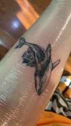 -千贺宗纹身传统大师