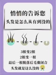 -Bollins波林丝•专研护发中心