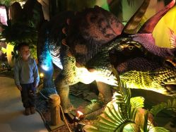 点击看大图 -恐龙探索乐园(磁器口店)