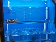 水产区-梵料理
