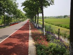 -上海长兴岛郊野公园