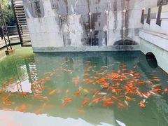 -大宁灵石公园西门票处