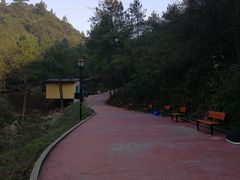 -梦幻奥陶纪景区