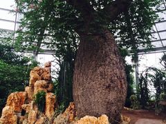 -南通洲际绿博园