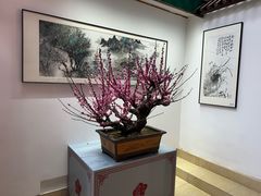 -无锡梅园公园