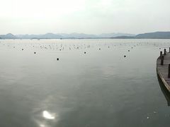 -西湖外事游船(花港观鱼码头)