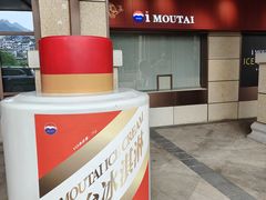 -茅台国际大酒店