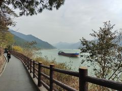 -羚羊峡古栈道森林公园