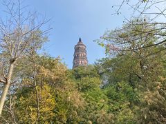 -顺峰山公园