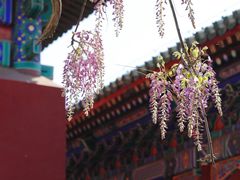 -孔庙和国子监博物馆