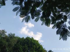 -人民公园(罗湖区)