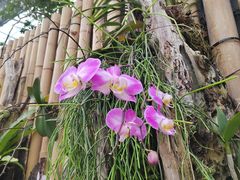 -北京植物园-展览温室