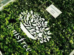 点击看大图 -悦诗风吟innisfree