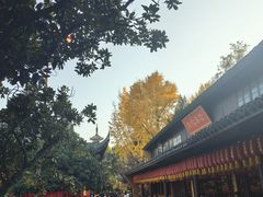 -龙华素斋(龙华路店)