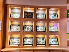 -陕西自然博物馆