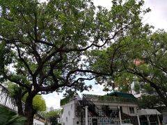 -人民公园(罗湖区)