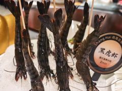 -尚海豆捞(乐虹坊店)