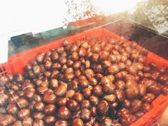 -陈记栗子(长宁路店)