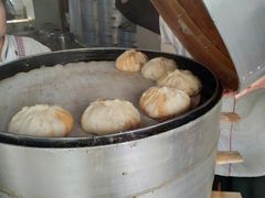 -蔡记包子(百花路店)