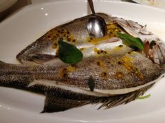 清蒸鲈鱼-觅唐MITONG(鸟巢店)