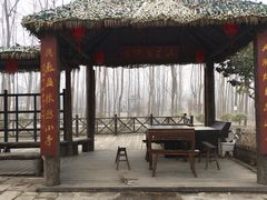 -合肥滨湖国家森林公园