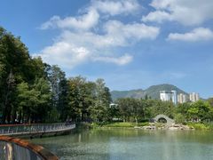 -四海公园(南山区)