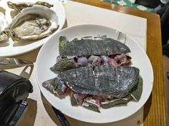 -蚝歌(中山七路店)