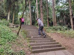-凤栖山
