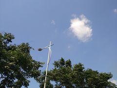 -黄胜记鼓浪屿肉松店(龙头路店)