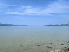-福田红树林生态公园