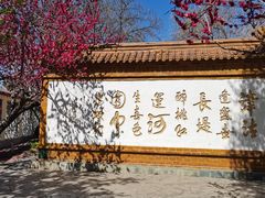 -桃花堤公园