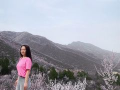 -北京凤凰岭