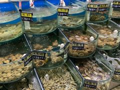水产区-烁佳海鲜大馅饺子