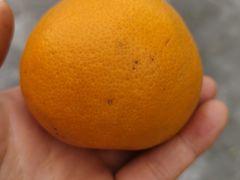 -成都蒲江花样年福朋喜来登度假酒店·宜客乐西餐厅