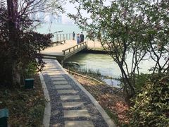 -金鸡湖桃花岛