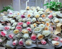 点击看大图 -AKOZO Beauty Salon