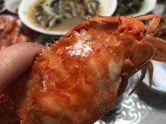 -枸杞岛