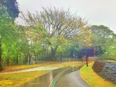 -龙溪(地铁站)