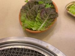 -福云龙(黄河南大街店)
