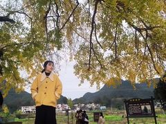 -广东茂名森林公园