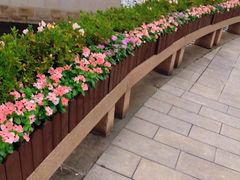 -西郊宾馆-地面停车场