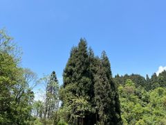 -龙苍沟森林公园