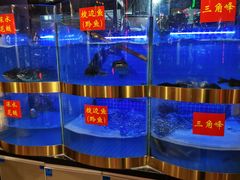 水产区-蛙一刀·麻椒鱼火锅(金仙桥店)